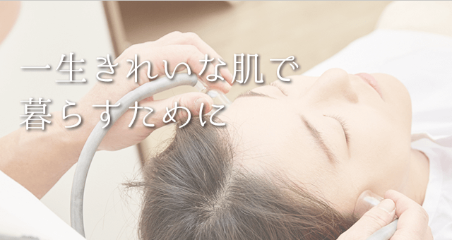 北原式の肌診断